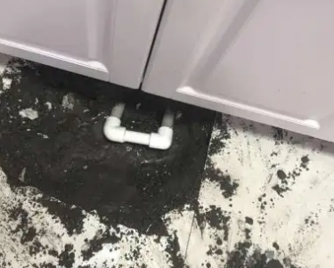 巴南查漏水哪家好